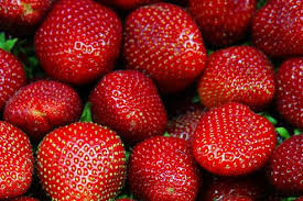 fraises c lefigaro.fr